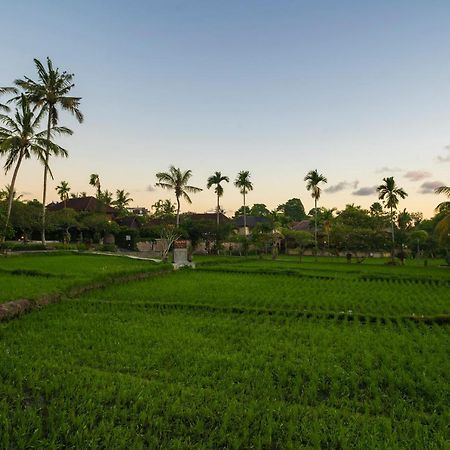 Agung Raka Villa Убуд Екстериор снимка